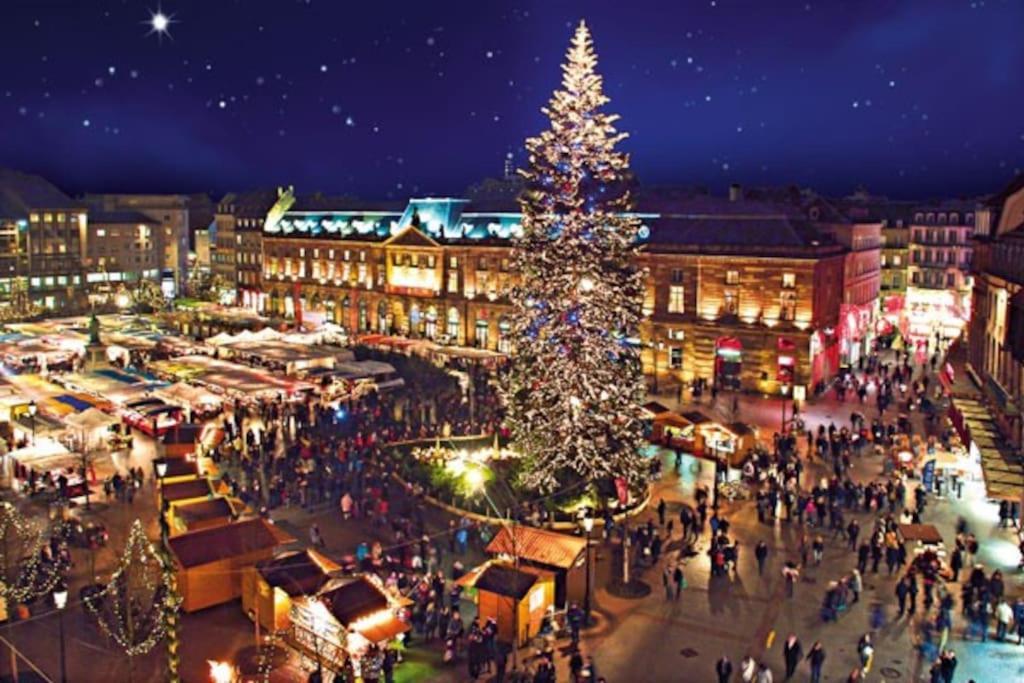 R-Appartements Strasbourg Cosy Orangerie Pour Vos Sejours En Famille Ou Entre Amis Экстерьер фото